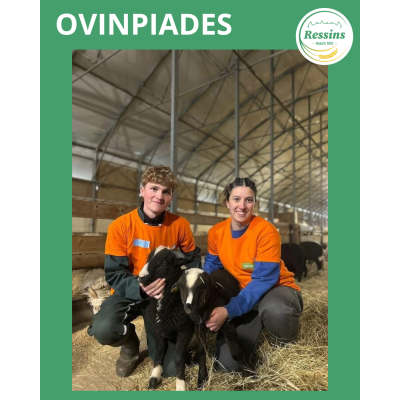 Ovinpiades Régionale