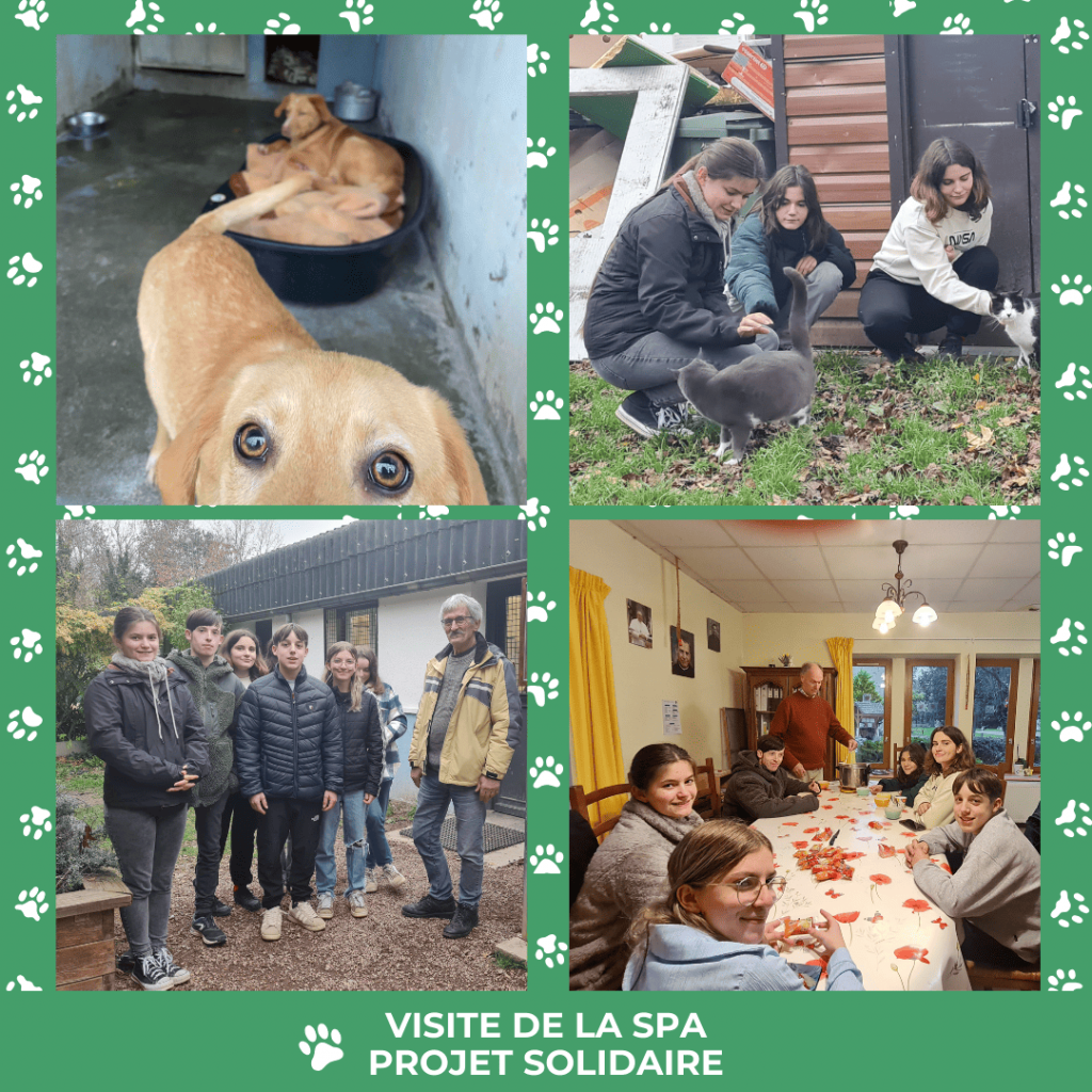 1670569141_593_post-visite-de-la-spa-projet-solidaire.png